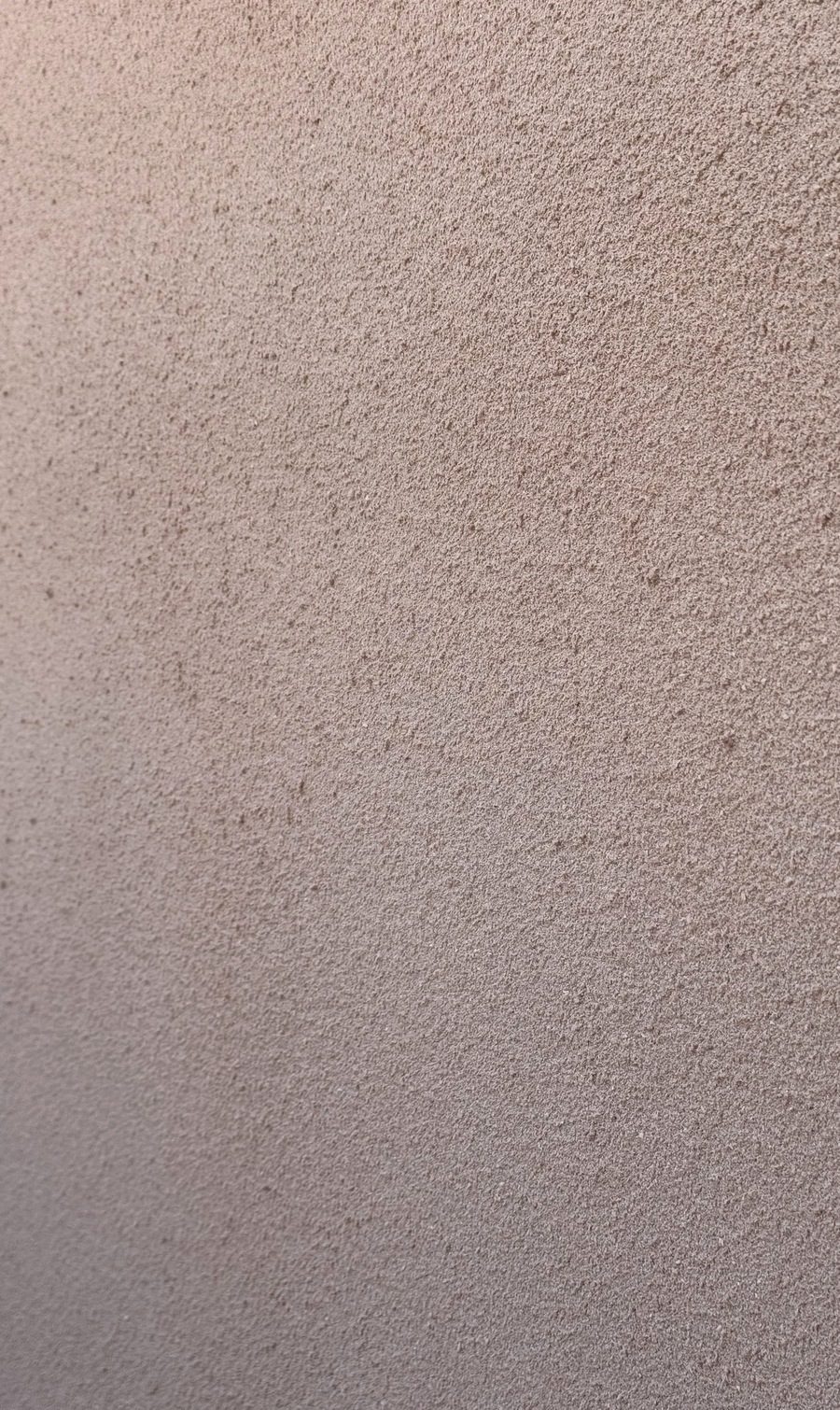 A wall finished in Plaster Textura Spray, showing a fine relief texture in raking light.